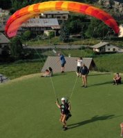 (image for) BGD Seed