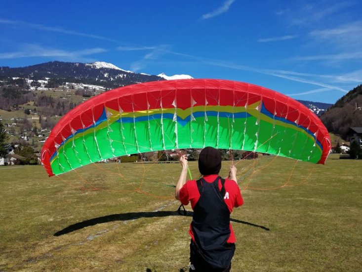 (image for) Easy single skin ground training wing - Click Image to Close
