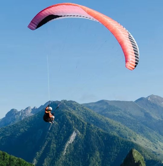 (image for) Gin Gliders Elise - Click Image to Close