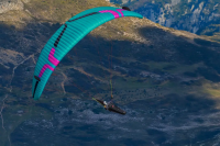 (image for) Ozone Delta 5