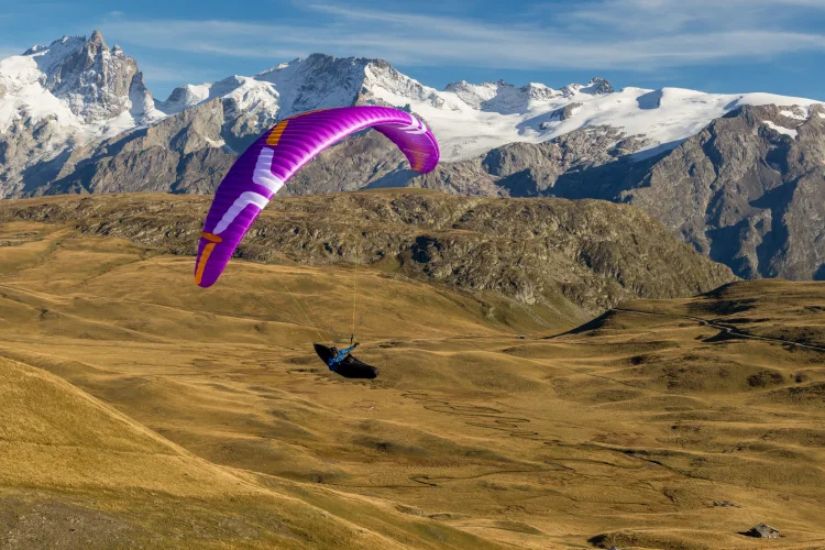 (image for) Ozone Vibe GT - Click Image to Close