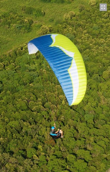 Ozone Buzz Z4 Paraglider - Click Image to Close