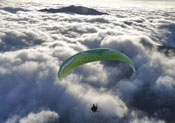 Paramotor wings