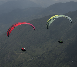 (image for) Skywalk Cayenne 6 - Click Image to Close